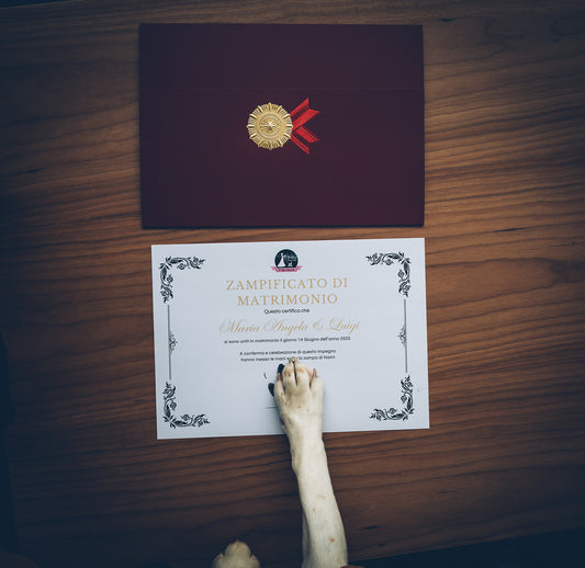 Zampificato di Matrimonio
